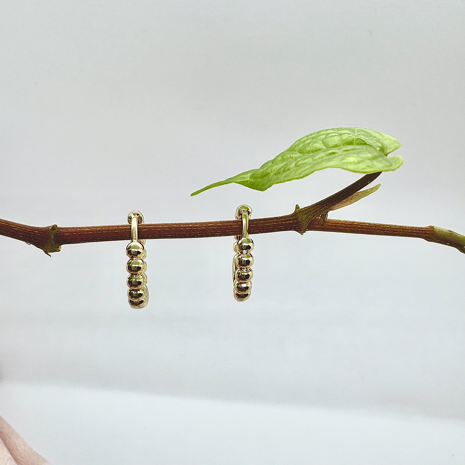 Bubble Mini Hoop Earrings